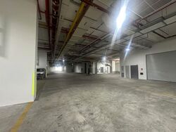 Ct Foodnex (D25), Factory #565741161